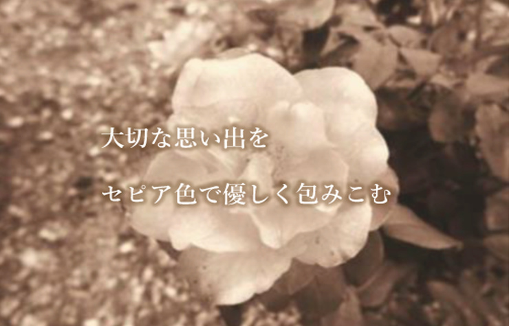 sepia2.jpg